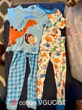 2 piece Ms. Rachel dino pjs 3t